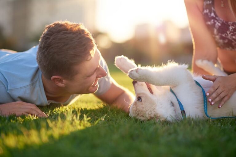 Man playing in the grass with a puppy