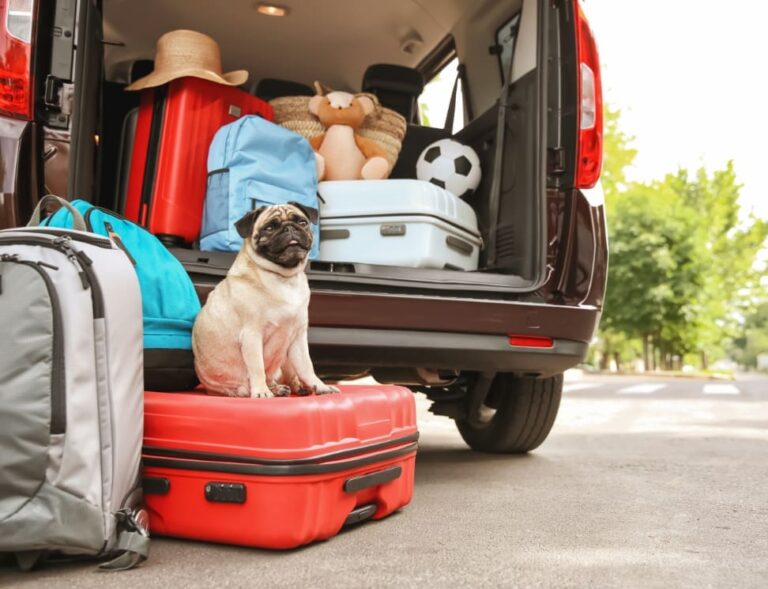 A pug sitting on top of a red suitcase that is ready to be packed into a full car