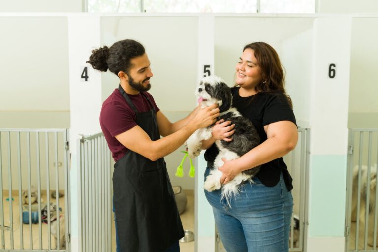 Cheerful workers carrying and petting an adorable shih tzu dog while looking happy at the pet hotel or dog daycare