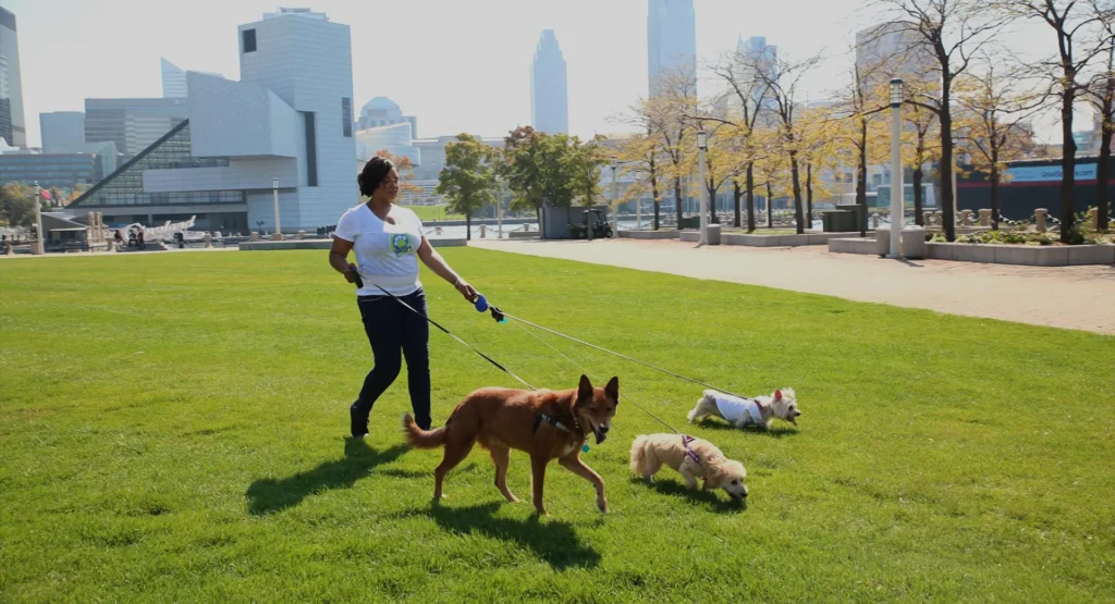 Teressa and dogs walking
